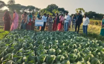 sagar-farmers-field-school