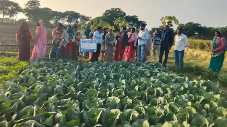sagar-farmers-field-school